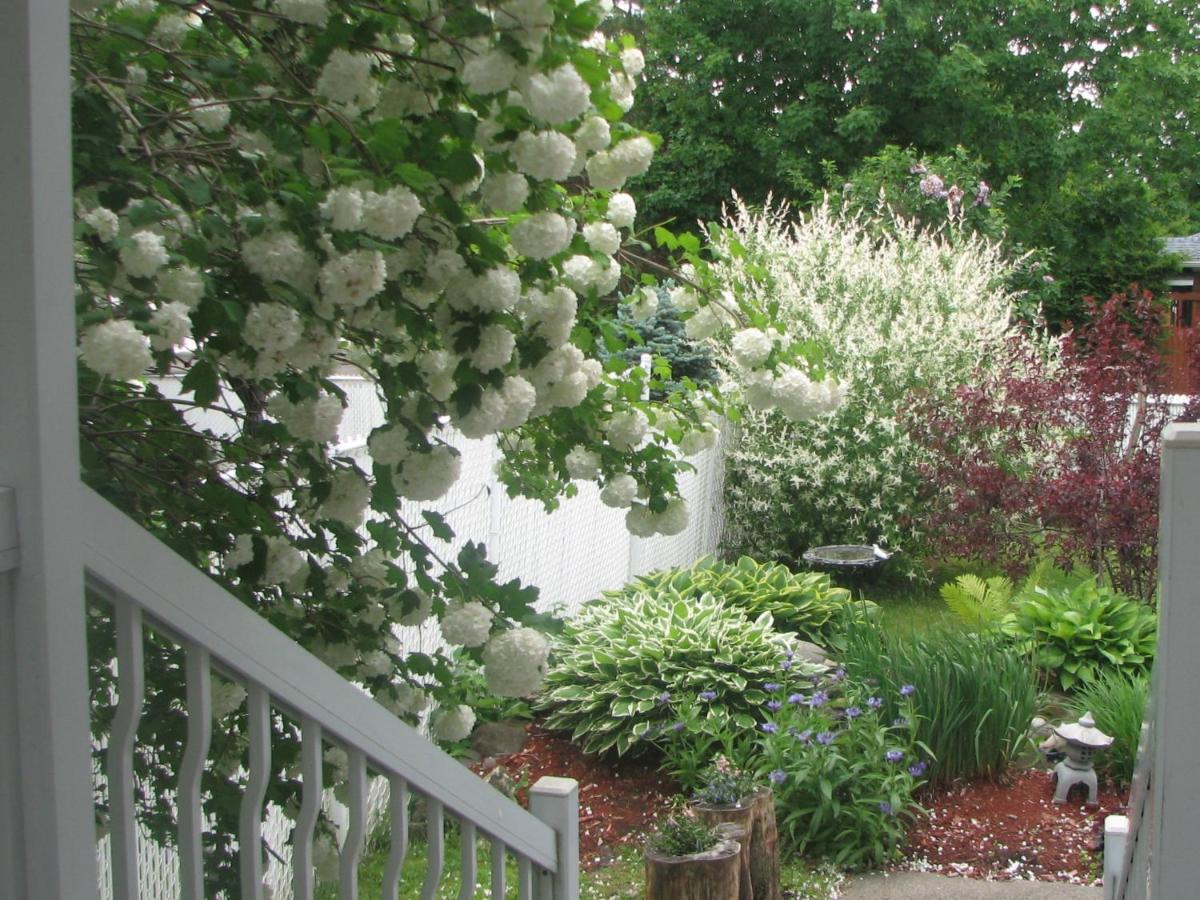 Magnolia B&B Granby Exterior photo